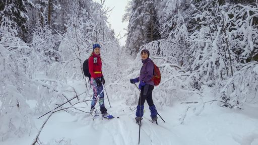 Фото Сергея Булычева.