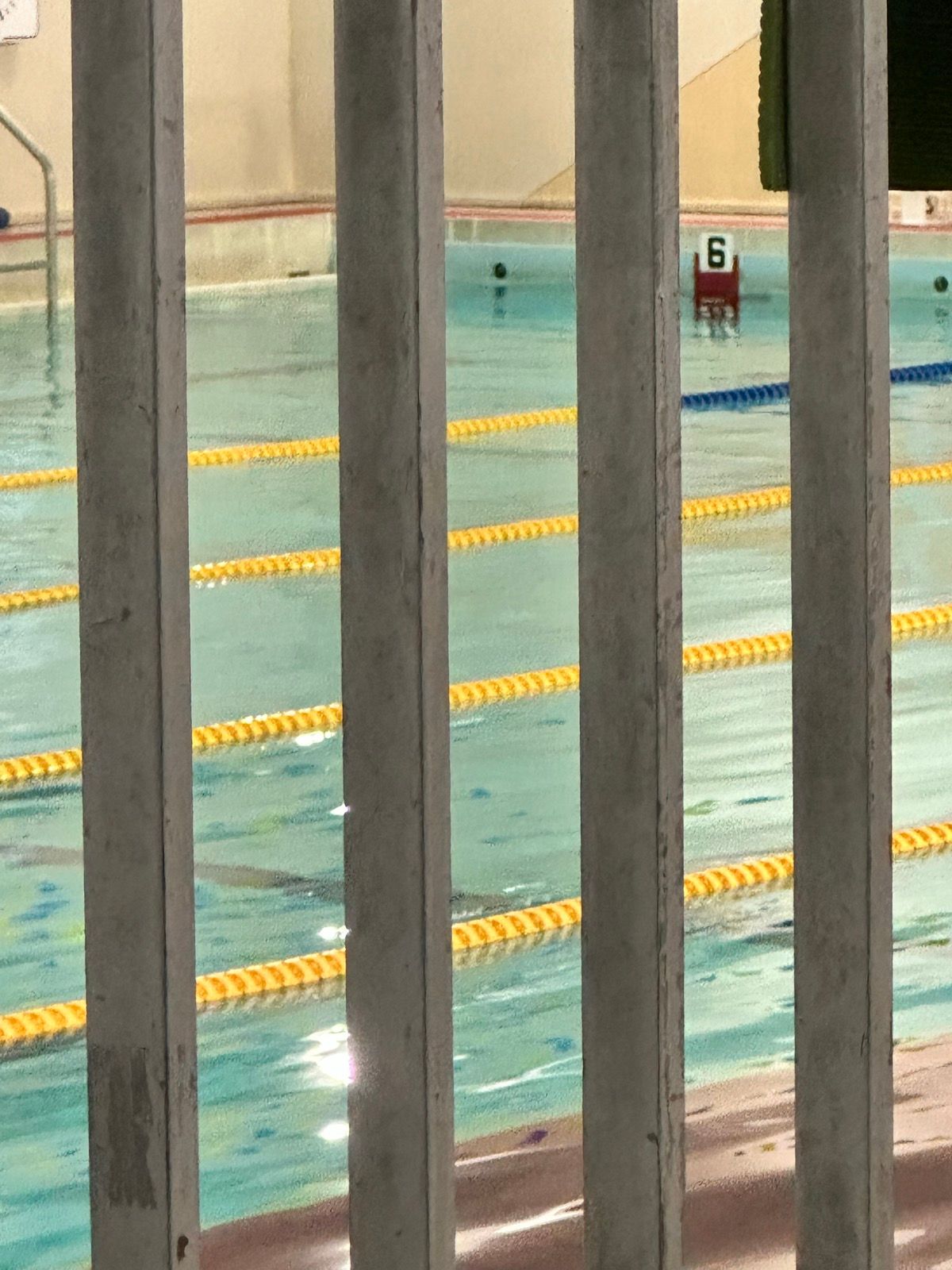 swim