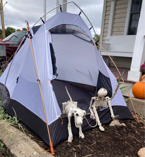 Rough, ruff, being a dog 😃