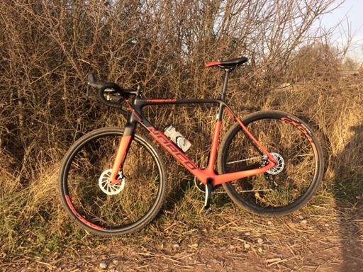 Der jüngste Spross in der Dynastie