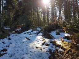 Ballon d’Alsace depuis St Maurice