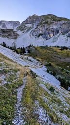 Tête de Lapras et la Cavale par le Nid