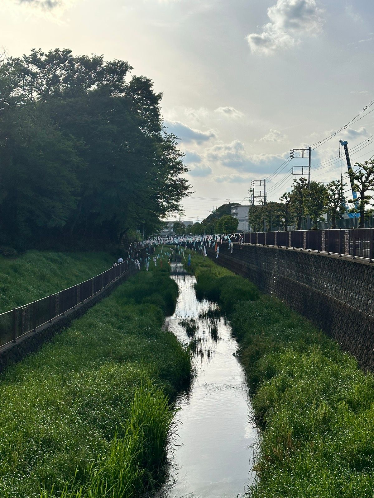 Morning Run