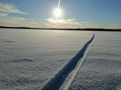 на Учинском как будто бы снега чуть поменьше, чем на Пестовском