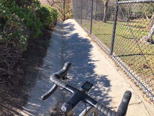 If I go fast enough I think I will clear the branches.