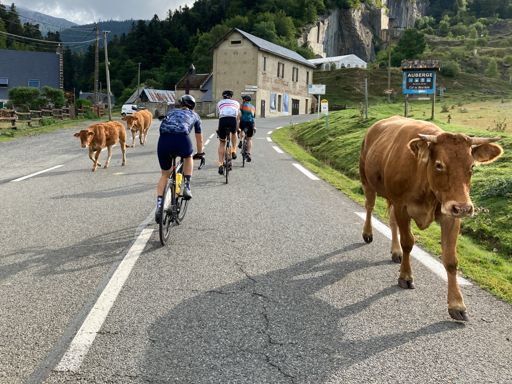 « Vous circulez dans une zone pastorale. » No shit / mo’ shit.