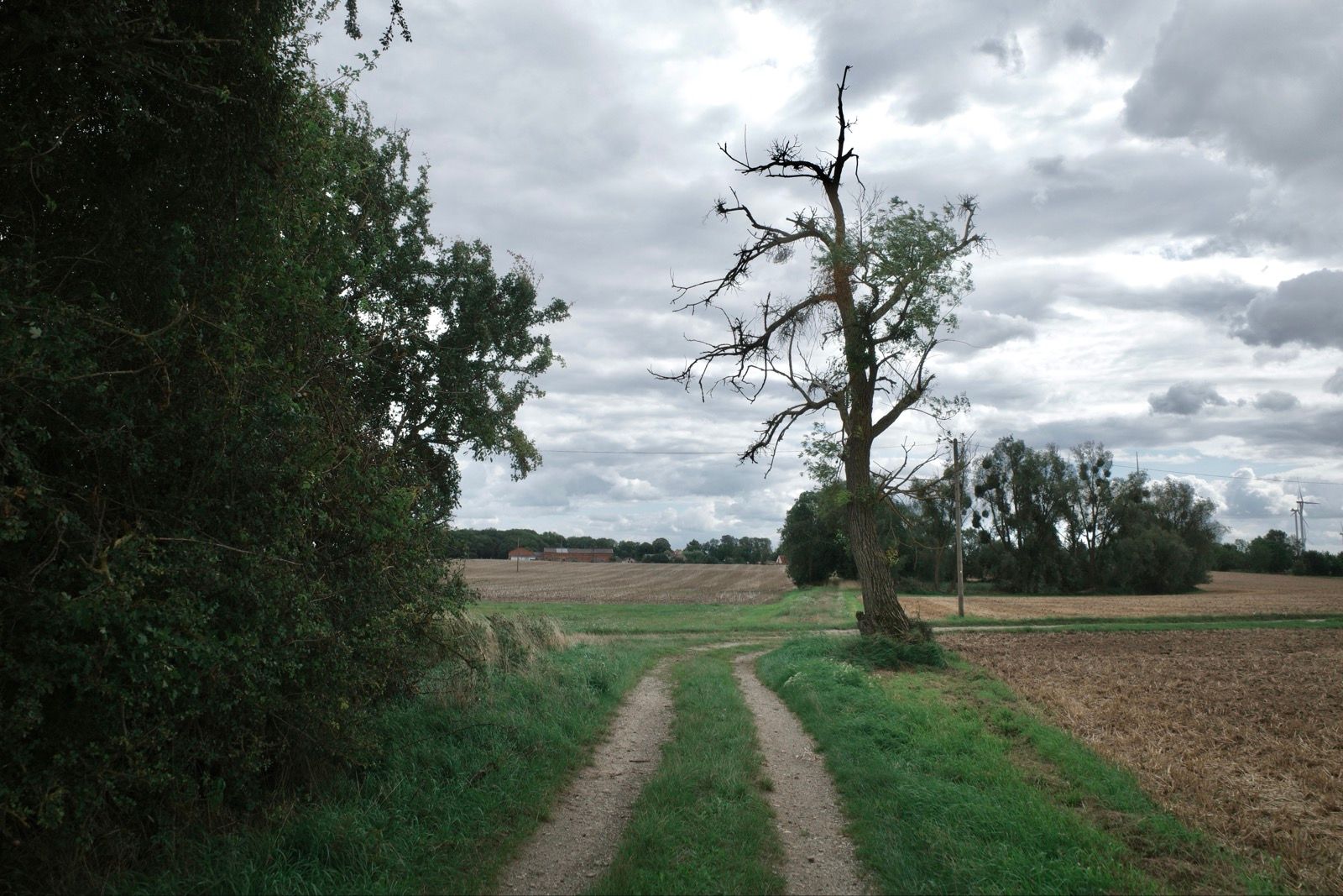 Okolice Neuhof