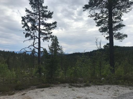 Gaustadtoppen er bak der, jeg lover...