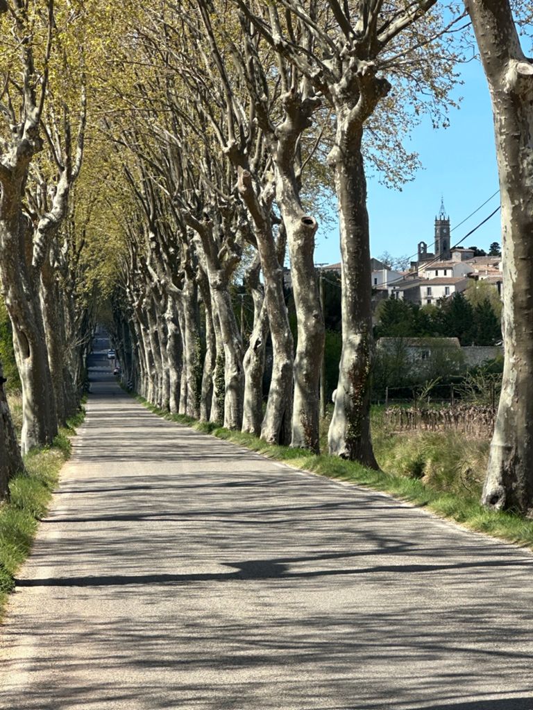 ROUTE_LUNEL_LES MATELLES_SANS CAZEVIEILLE, photo 6