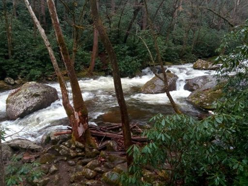 Big Creek was raging.