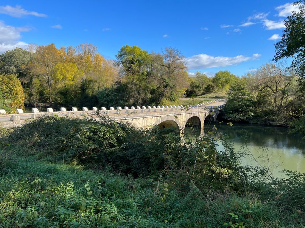 Bragassargues Montagnac, photo 8