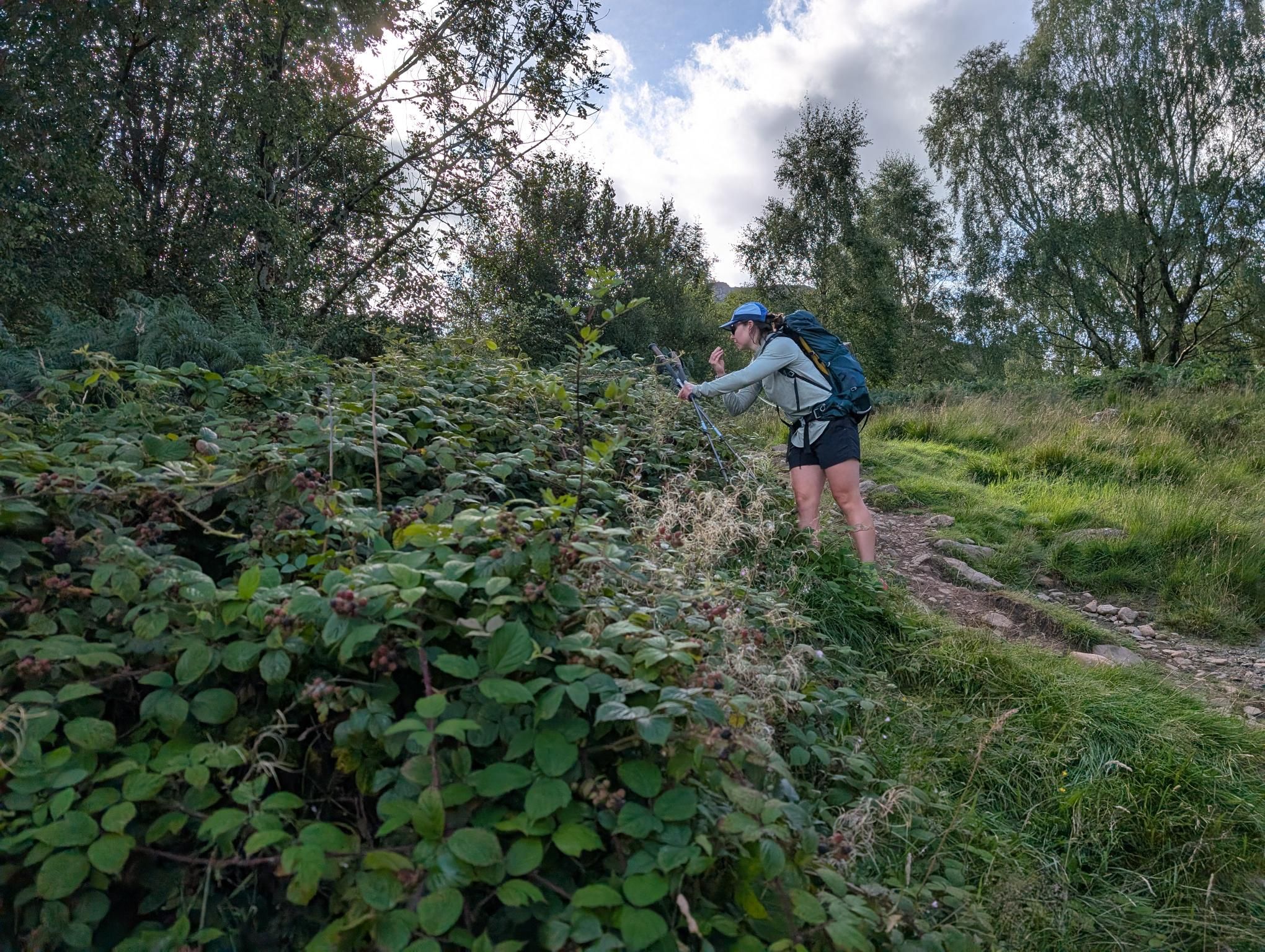 Chapel House Farm Campsite to Keswick photo 5