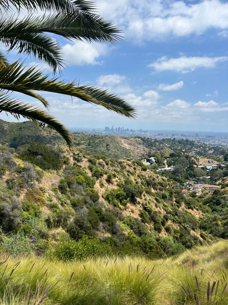 NBB run - Lake Hollywood photo 124