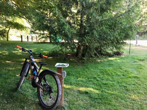 Pace car to ice cream.