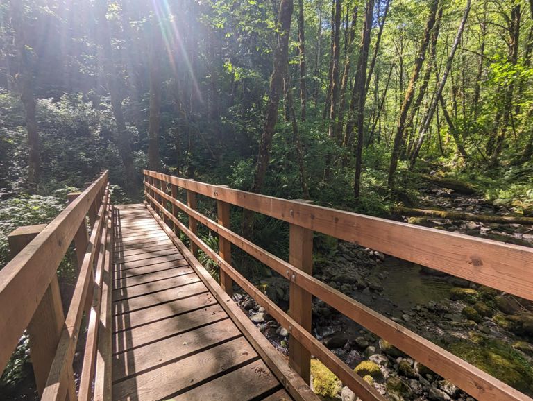 Elk Creek, King Mtn, Wilson River trails