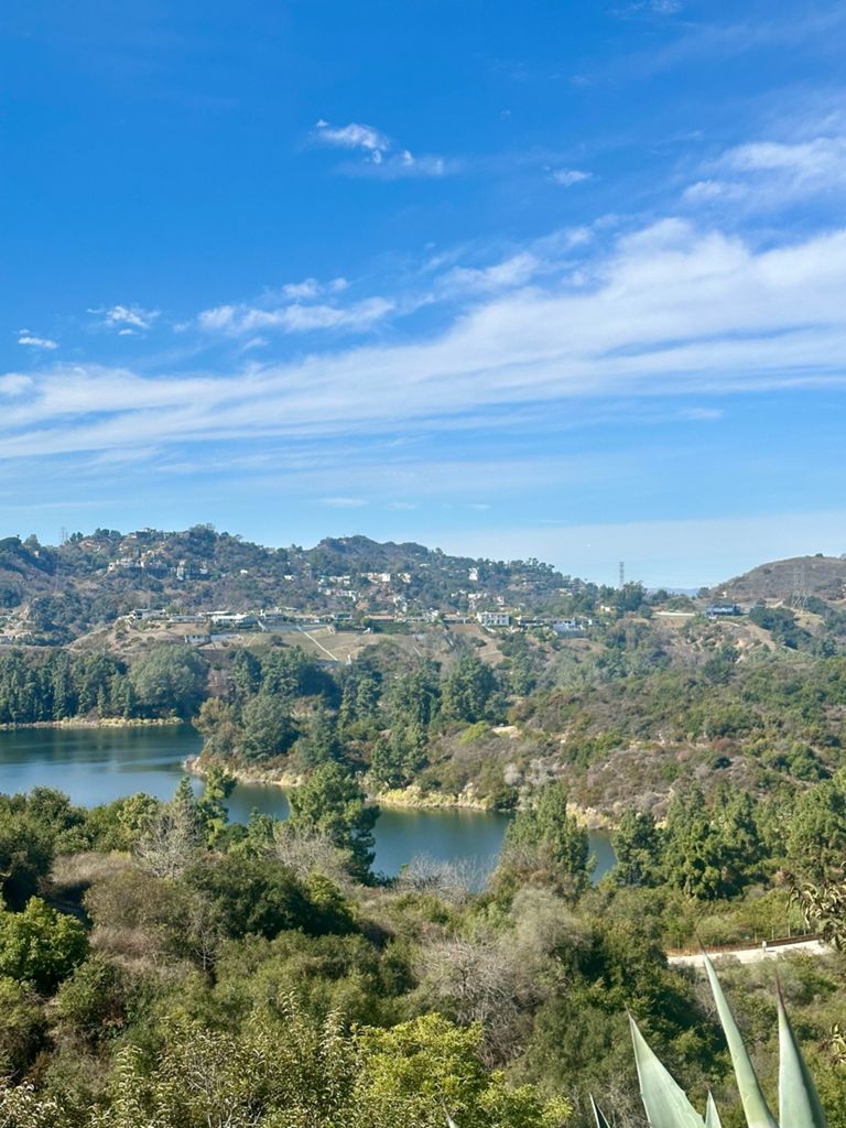 NBB run - Lake Hollywood photo 146