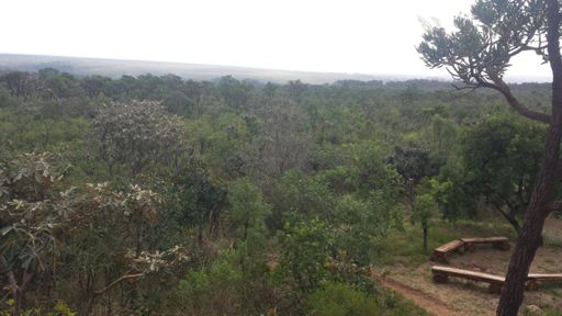 Mirante do Jardim Botânico