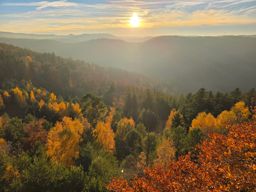Dans les coins de Wuestenberg