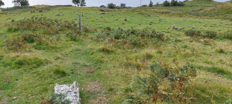 Google Books' open access to Alexander Mackenzie's The History of Highland Clearances, including most, not all, of Donald Macleod's Gloomy Memories: https://www.google.co.uk/books/edition/_/qBi9jho7YCEC?hl=en&gbpv=0