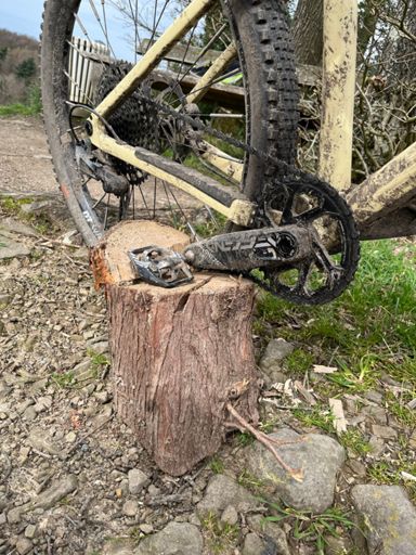 Highlight heute der abgesägte Baumstumpf, zum Ständer geboren 🪵 👍🏻 