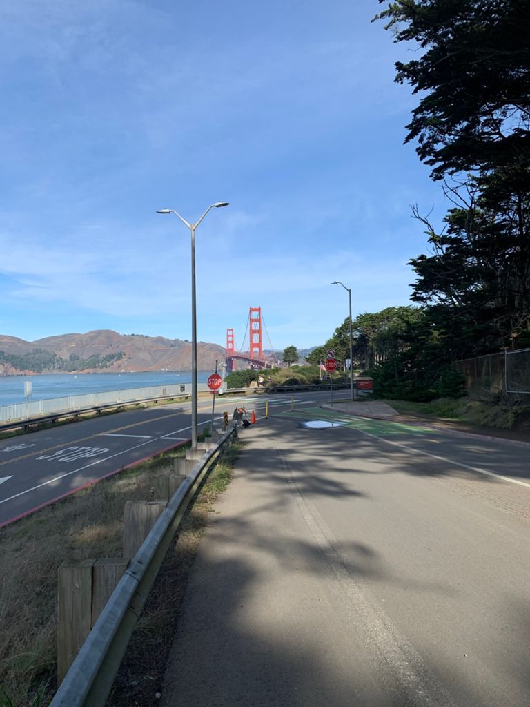 Butterlap (Presidio & Golden Gate Park) photo 143