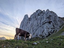 Wägital avec Raphaël et Sandrine
