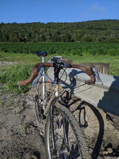 In the background, hemp, as far as the eye could see.