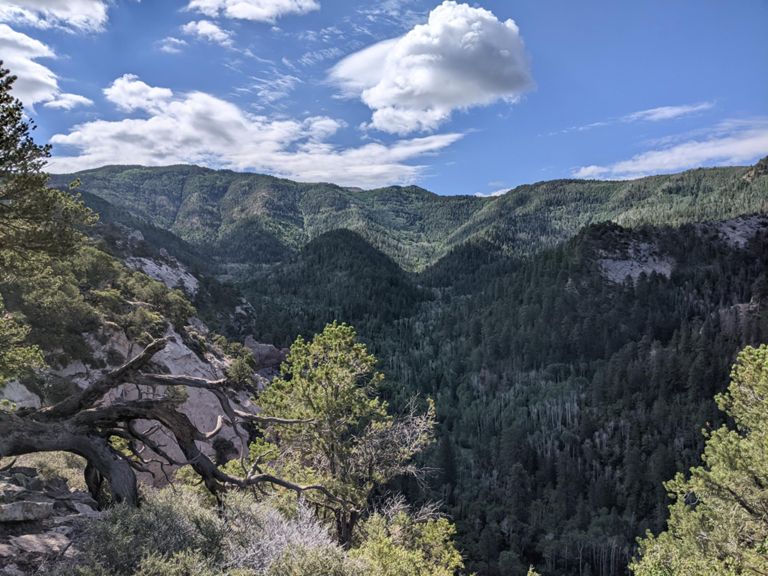Bears Ears 50 mile - 3rd place