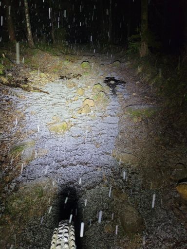 Litt is helt i starten av stien