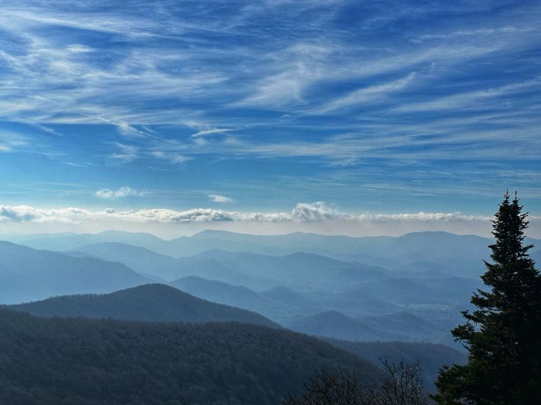 Brasstown Bald Jack's Gap Ascent 2.9 mi Trail Running Route on Strava