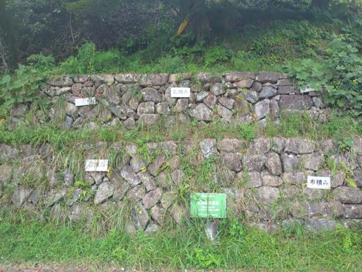 道中コスモス咲いてたり秋の気配は感じるのにやたら暑かった💦