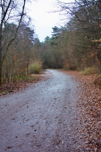 auf einer vergessenen Landtraße 