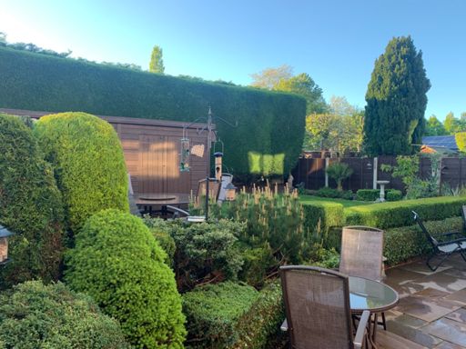 Nice to get a spin out before tackling the garden... too many hedges & conifers to trim.... ain’t great for the old hay-fever 🤧