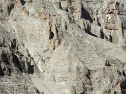 Tête de Lapras et la Cavale par le Nid