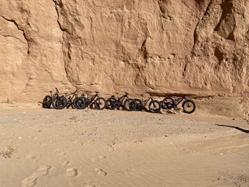 A herd of fatties in their natural environment. They heard us and spooked soon after.