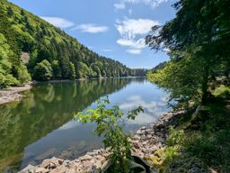 Crapahutage matinal dans les hautes vosges
