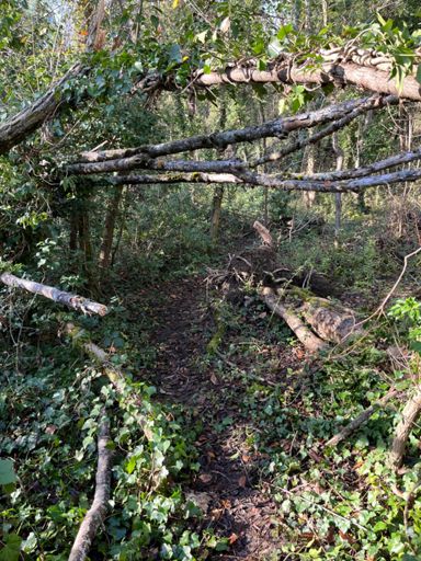 Encore plus « Wild » mais ça passe.