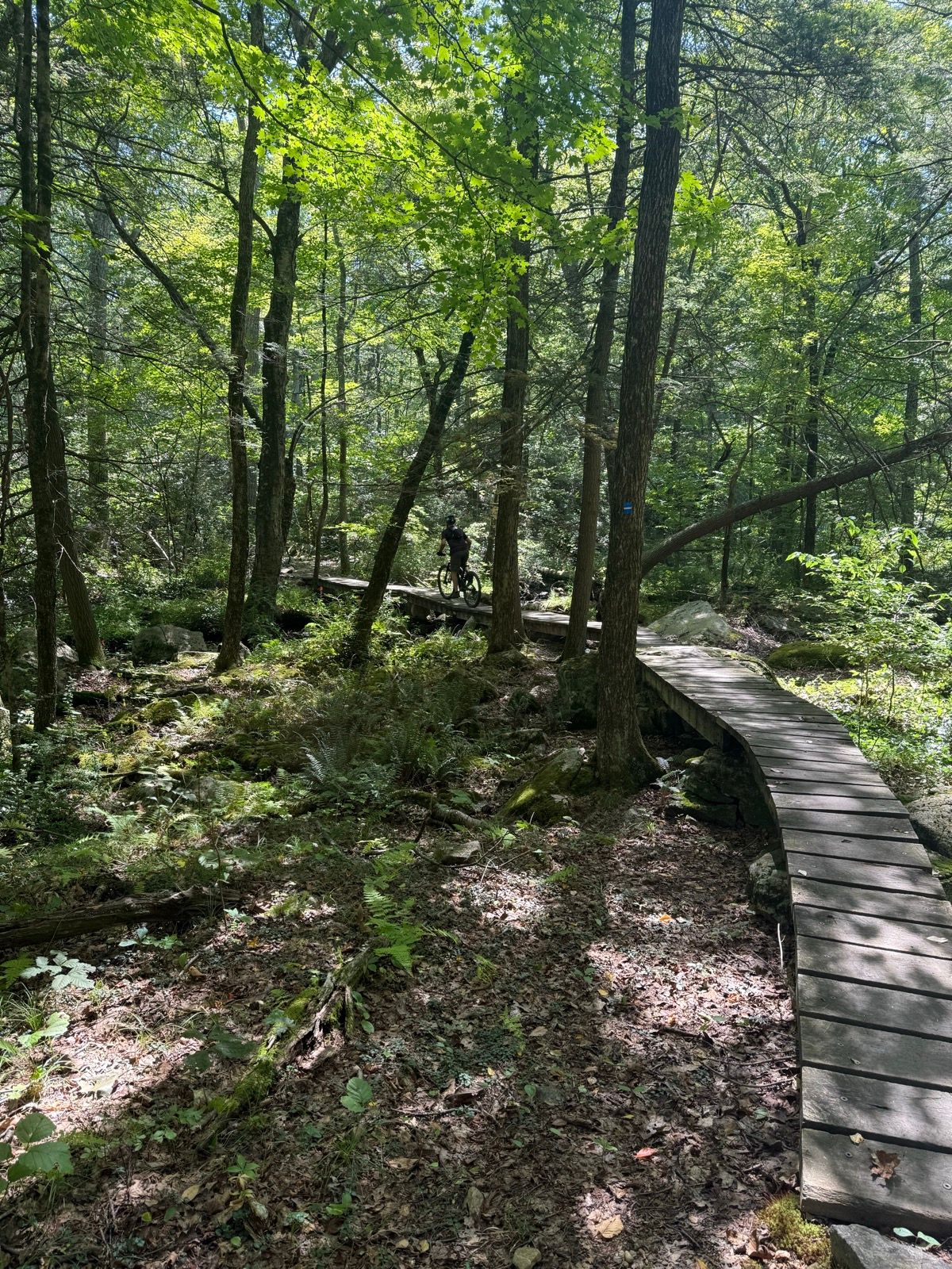 Sterling Forest (Munsee-Eagle Trail, Red Back Trail, Hutchinson