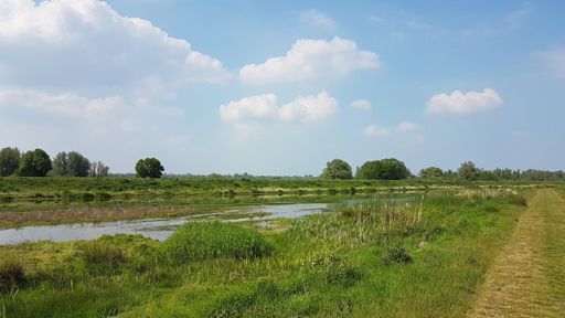 De Biesbosch is zó mooi, ik vraag me steeds af waarom ik daar niet veel vaker fiets!