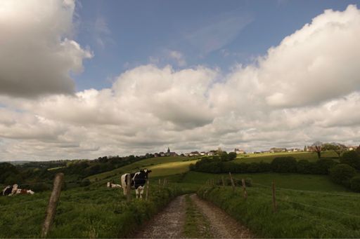 Heerlijke jour de repos (koe was wél aan het werk).