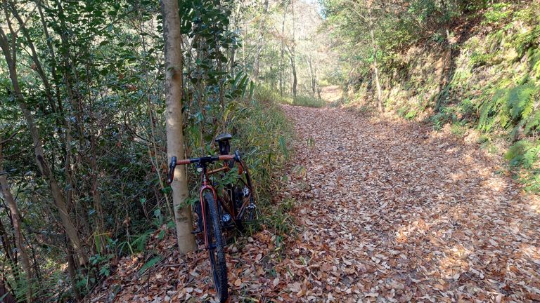 登り切ったところでちょいと待ちます。