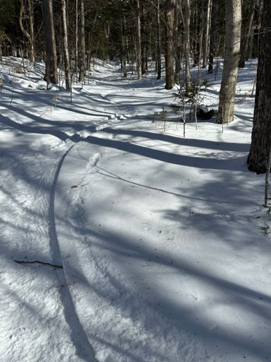 At the bottom of my longest neighborhood run, the Border trail. Just a hair under 500' vertical. Most of my other runs are short laps, 125-250'. Hasn't been in much this year as it's south facing.  This part is low angle,  most of it is steeper. 