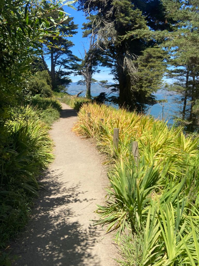 Butterlap (Presidio & Golden Gate Park)的照片 52