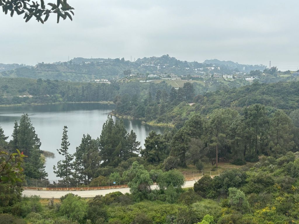 NBB run - Lake Hollywood photo 99