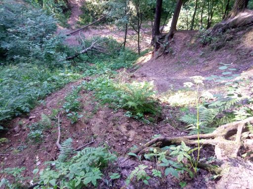 Хуанхэ умерло, размыло и деревья повалило.