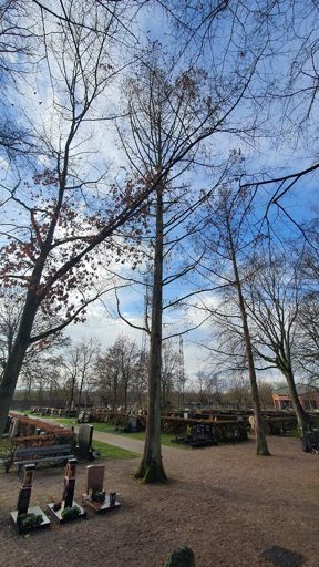 Kleinostheim_ID24193_UM_Friedhofstr._Friedhof