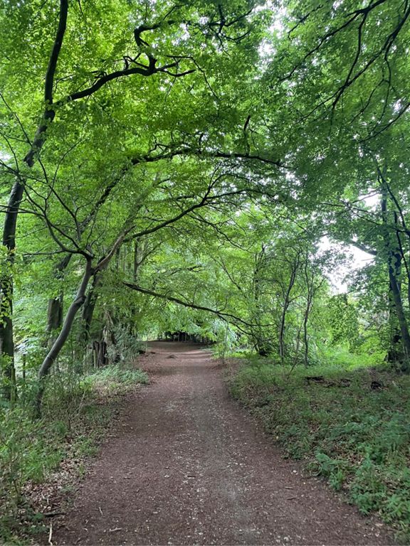 Ridgeway Leg 2 6.1 mi Running Route on Strava