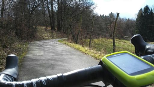 Radweg zwischen Dörth und Schinderhannesradweg