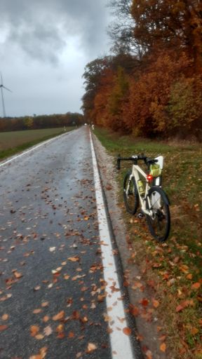 Zwischen Klosterkumbd und Neuerkirch.