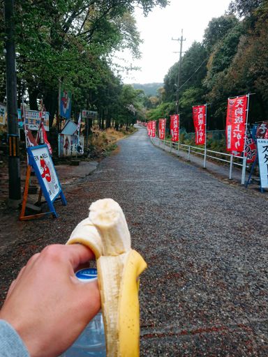 バナナ食いながら、どう捻り潰すか考えてた

雨のせいで、路面がやばい